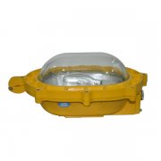 BFE8120內(nèi)場防爆應(yīng)急燈